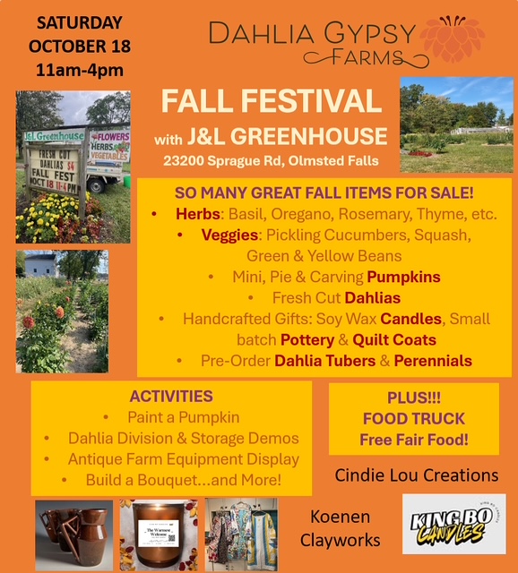 Farmers market plants 2